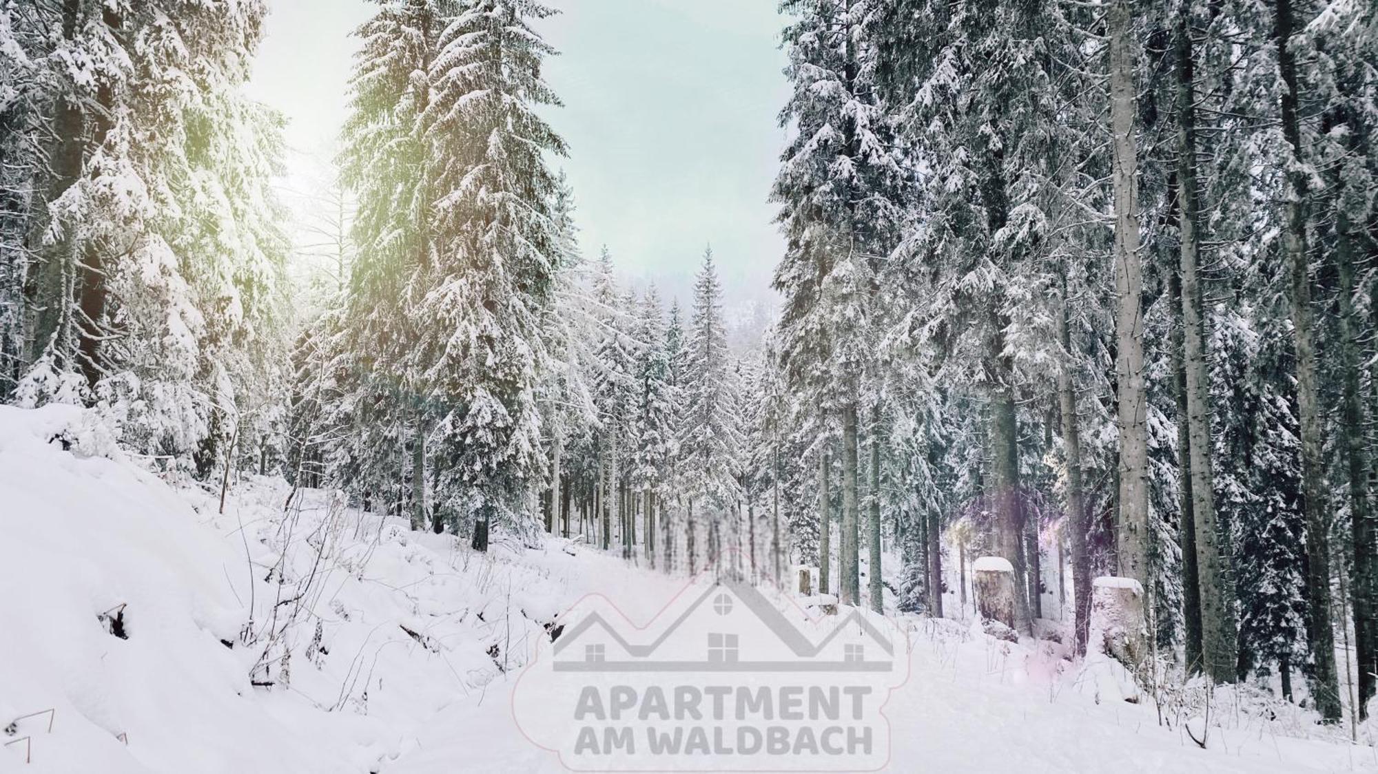 Apartment Am Waldbach Gernsbach Eksteriør billede